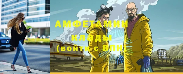 твердый Алзамай