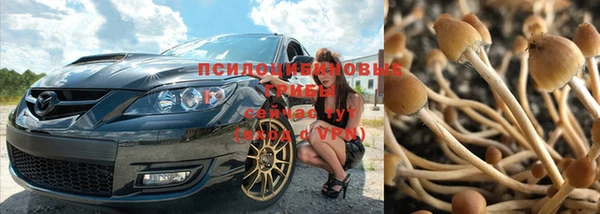 индика Алексеевка