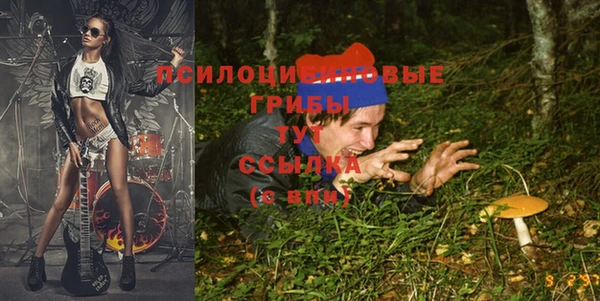 твердый Алзамай